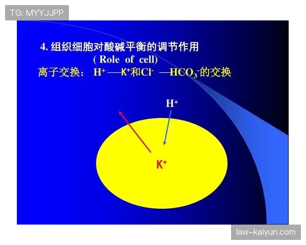 贝尔纳多本赛季组织核心作用与表现分析